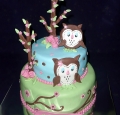 Torta Sova
