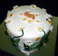 Torta Bábätko