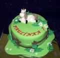 Torta Koník na torte