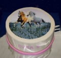 Torta Kôň s obrázkom