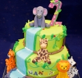 Torta Torta safari