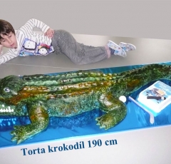 Krokodíl
