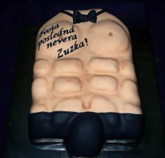 Torzo muža
