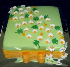 Torta s margarétkami
