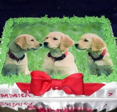 Torta psíčkovia