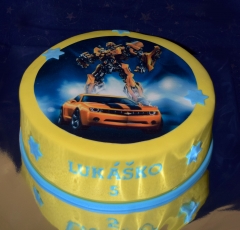 Torta transformers