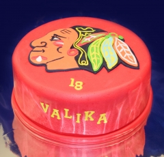 Chicago Blackhawks