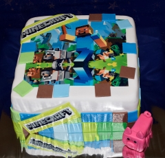 Minecraft s obrázkom