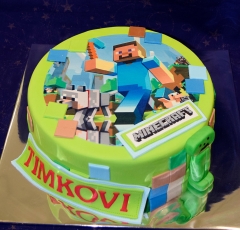 Minecraft Timkovi