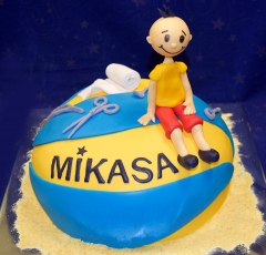 Torta s loptou