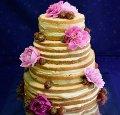 Holá torta