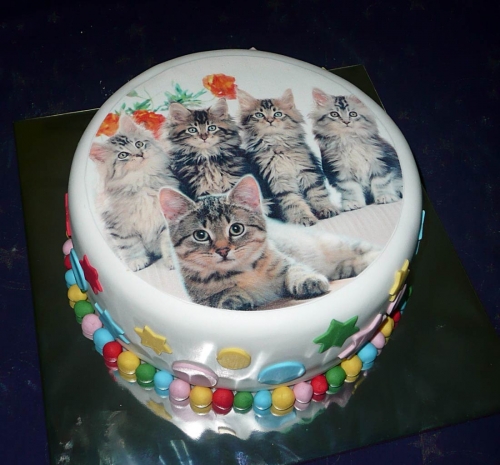Svadobné torty » Torta Mačičky