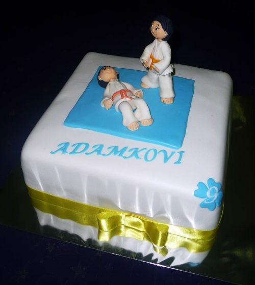 Športové torty » Torta Karate