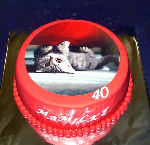 Svadobné torty » Torta Mačka s obrázkom