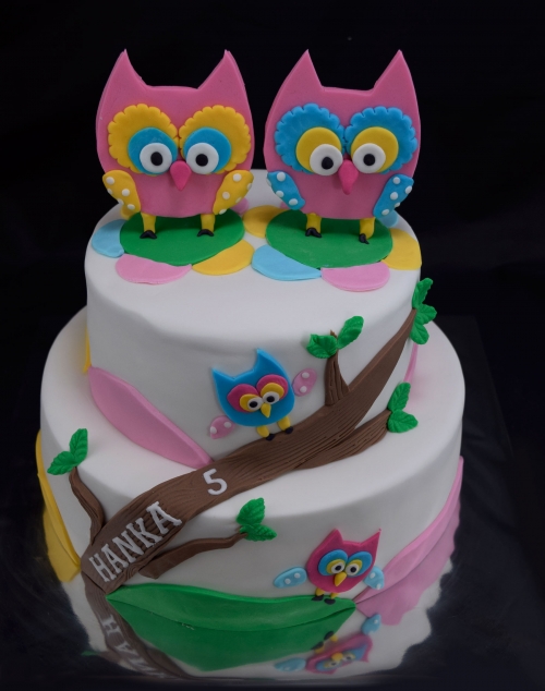 Torty » Torta Sovička pre Hanku