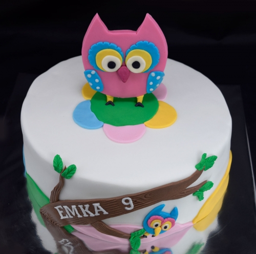 Torty » Torta Sova pre Emku
