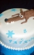 Svadobné torty » Torta Doba Ľadová
