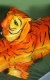 Najnovšie torty » Torta Tiger