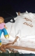 Najnovšie torty » Torta Promocie Dáša