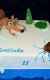 Svadobné torty » Torta Veverička doba ľadová
