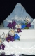 Rôzne torty » Torta Materhorn na 40tku